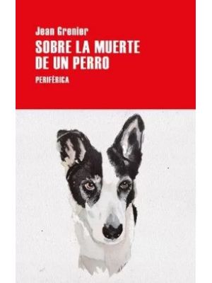 Sobre La Muerte De Un Perro