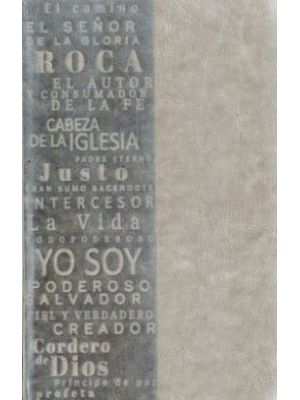 Biblia Reina Valera Piel Gris TamaÑo Manual