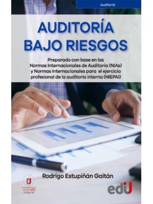 Auditoria Bajo Riesgos