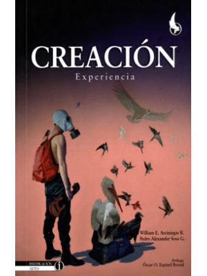 Creacion Experiencia