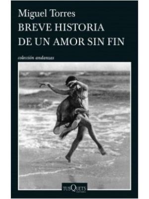 Breve Historia De Un Amor Sin Fin