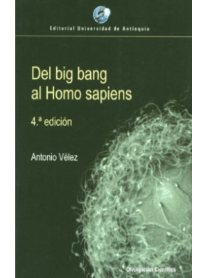 Del Big Bang Al Homo Sapiens