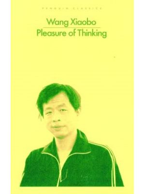 Pleasure Of Thinking