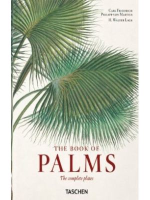 The Book Of Palms (bilingue)