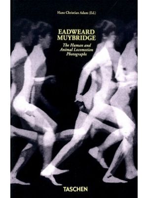 Eadweard Muybridge The Human And Animal Locomotion Photographs