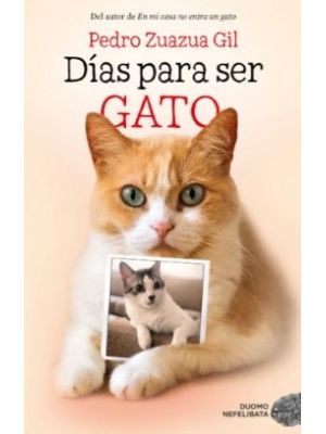 Dias Para Ser Gato