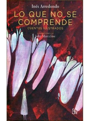 Lo Que No Se Comprende
