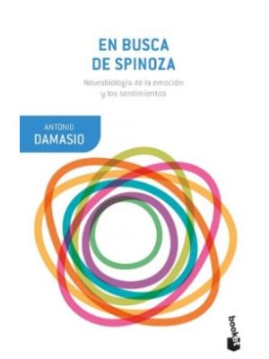 En Busca De Spinoza