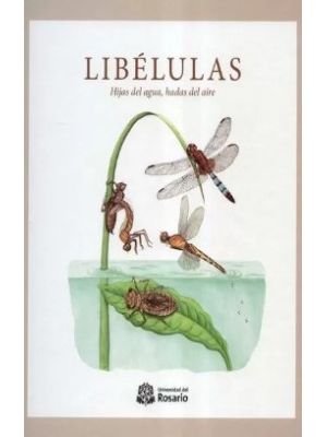 Libelulas Hijas Del Agua Hadas Del Aire