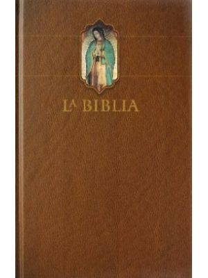 La Biblia Catolica Edicion Letra Grande