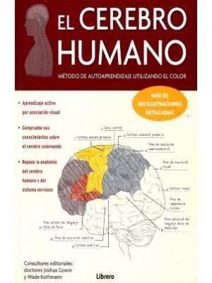 El Cerebro Humano Metodo De Autoaprendiz