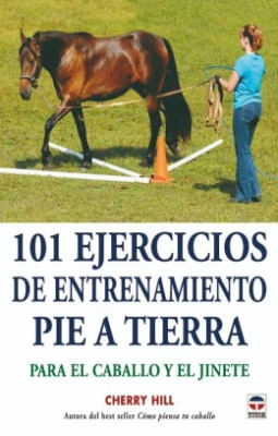 101 EJERCICIOS DE ENTRENAMIENTO PIE A TIERRA