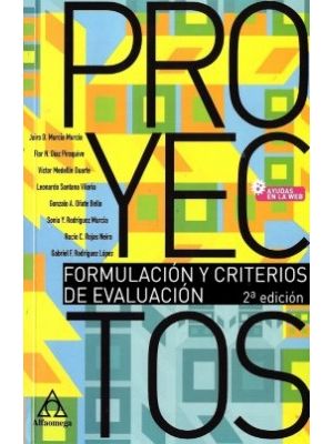 Proyectos Formulacion Y Criterios De Evaluacion