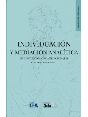 Individuacion Y Mediacion Analitica