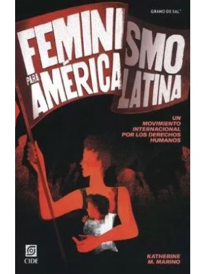 Feminismo Para America Latina