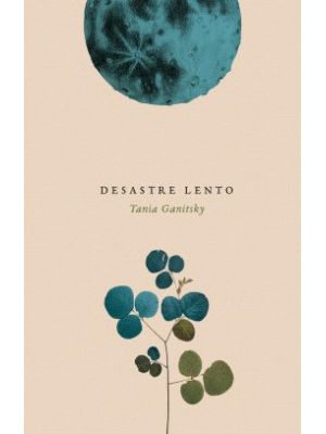 Desastre Lento