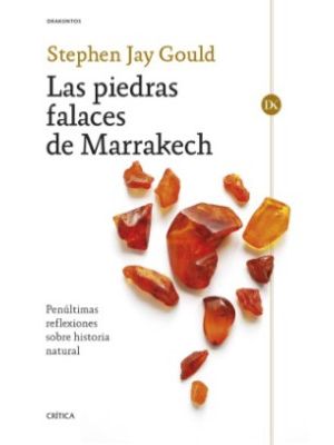 Las Piedras Falaces De Marrakech