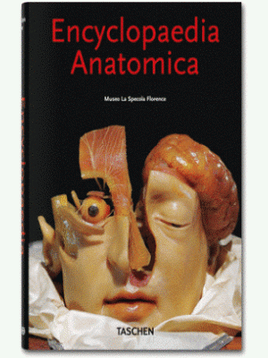 Encyclopaedia Anatomica Museo La Specola Florence