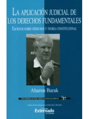 La Aplicacion Judicial De Los Derechos Fundamentales