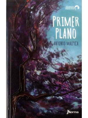 Primer Plano