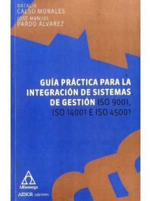 Guia Practica Para La Integracion De Sistemas De Gestion