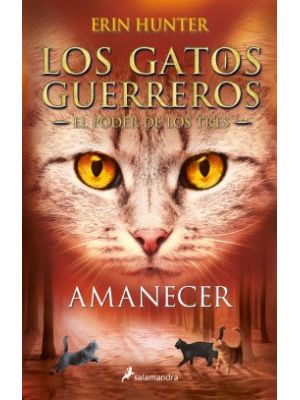 Los Gatos Guerreros El Poder De Los Tres