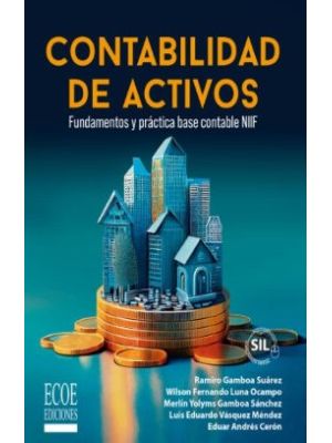 Contabilidad De Activos