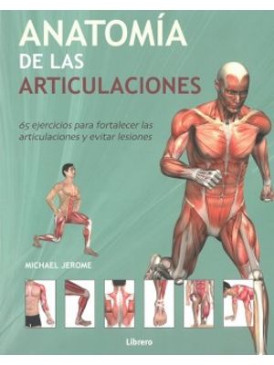 Anatomia De Las Articulaciones