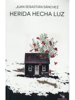 Herida Hecha Luz