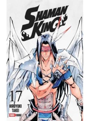Shaman King 17