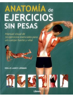 Anatomia De Ejercicios Sin Pesas