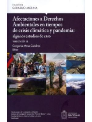 Afectaciones A Derechos Ambientales V 2