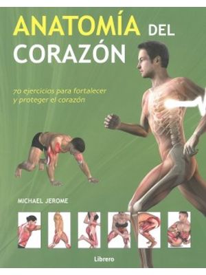 Anatomia Del Corazon