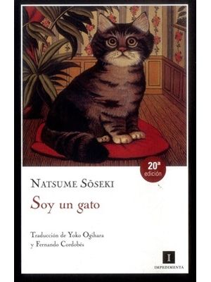 Soy Un Gato