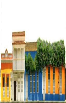 portada - PAE CF 13 CALLE DEL CURATO POSTAL