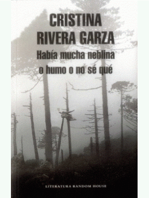 Habia Mucha Neblina O Humo O No Se Que
