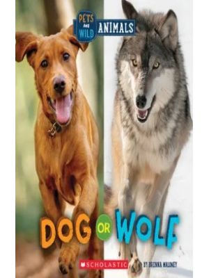 Dog Or Wolf