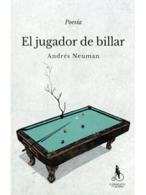 El Jugador De Billar