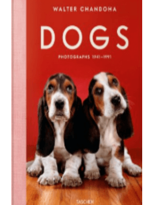 Dogs Photographs 1941 1991