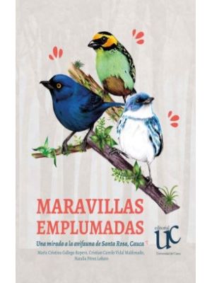 Maravillas Emplumadas Una Mirada A La Avifauna De Santa Rosa Cauca