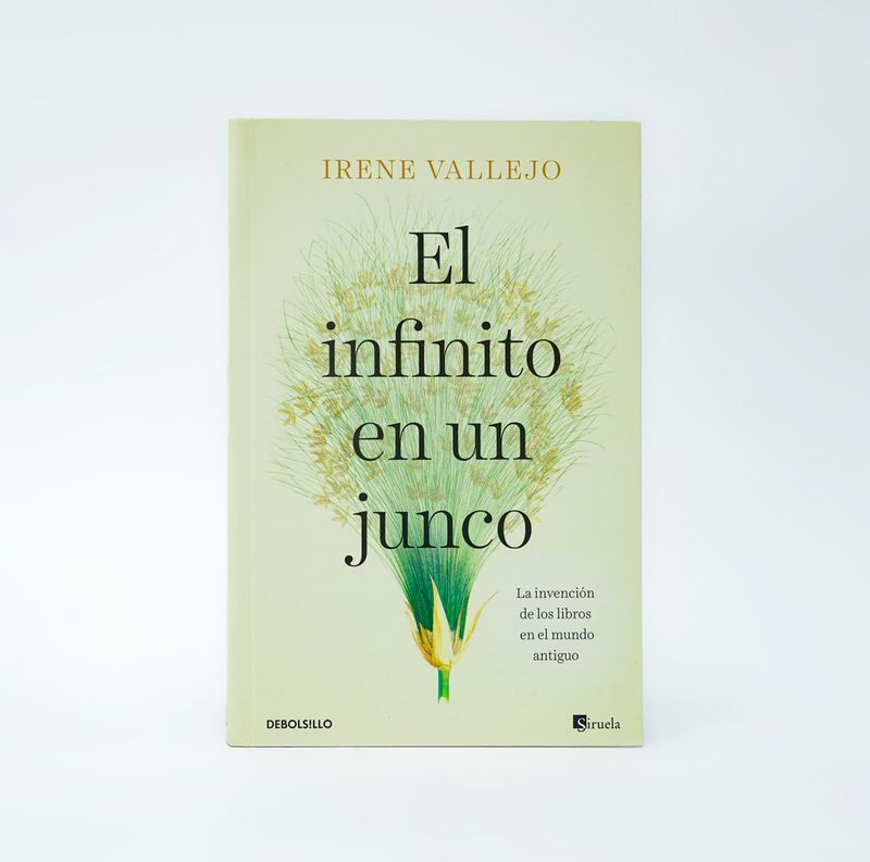 EL-INFINITO-EN-UN-JUNCO-portada