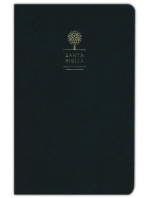 Santa Biblia Letra Grande Negra