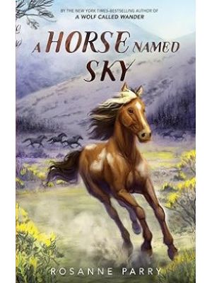 A Horse Named Sky