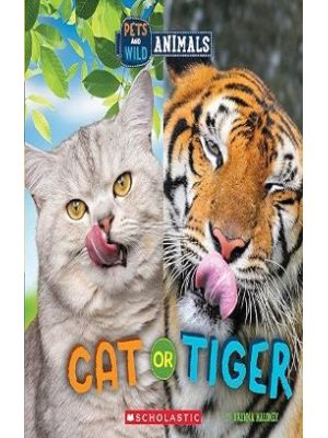 Cat Or Tiger