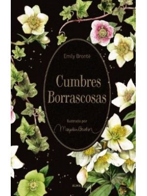 Cumbres Borrascosas