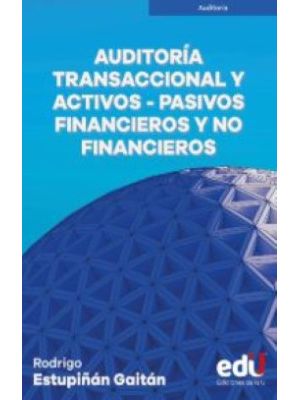 Auditoria Transaccional Y Activos Pasivos Financieros Y No Financieros