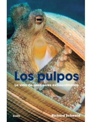 Los Pulpos La Vida De Unos Seres Extraordinarios