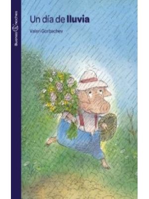 Un Dia De Lluvia