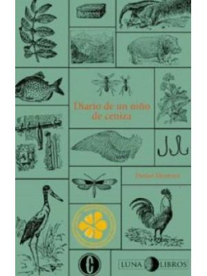 Diario De Un NiÑo De Ceniza
