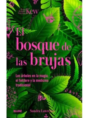 El Bosque De Las Brujas